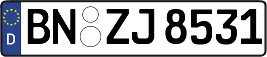 BN-ZJ8531