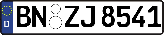 BN-ZJ8541