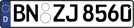 BN-ZJ8560