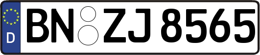 BN-ZJ8565