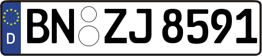 BN-ZJ8591