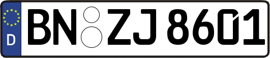 BN-ZJ8601