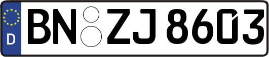 BN-ZJ8603