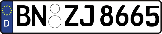 BN-ZJ8665