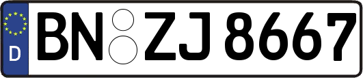 BN-ZJ8667