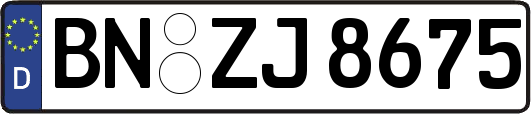 BN-ZJ8675