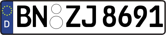 BN-ZJ8691