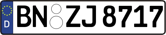 BN-ZJ8717