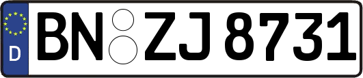BN-ZJ8731