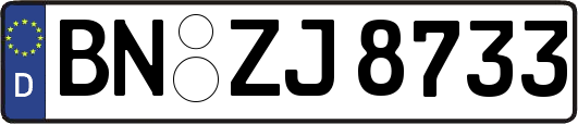 BN-ZJ8733