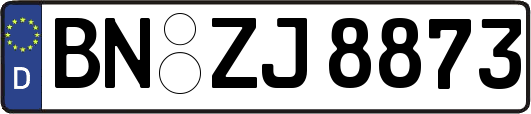 BN-ZJ8873