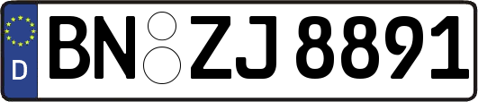 BN-ZJ8891
