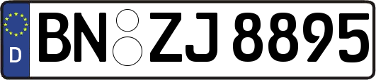 BN-ZJ8895