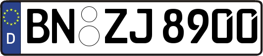 BN-ZJ8900