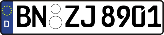 BN-ZJ8901