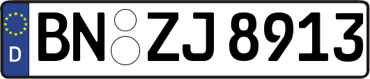 BN-ZJ8913