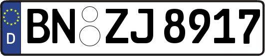BN-ZJ8917
