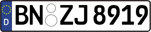 BN-ZJ8919