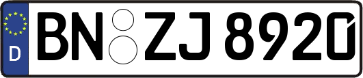BN-ZJ8920