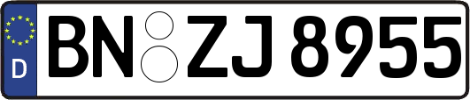 BN-ZJ8955