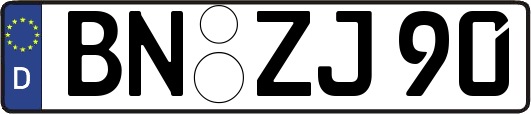 BN-ZJ90