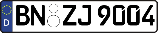 BN-ZJ9004