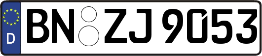 BN-ZJ9053