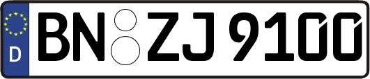 BN-ZJ9100