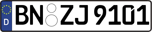 BN-ZJ9101