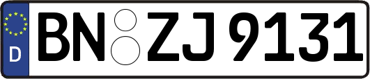 BN-ZJ9131