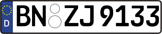 BN-ZJ9133