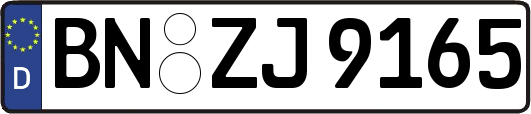 BN-ZJ9165