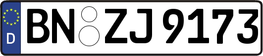 BN-ZJ9173