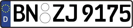 BN-ZJ9175