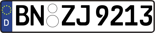 BN-ZJ9213
