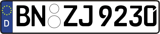 BN-ZJ9230