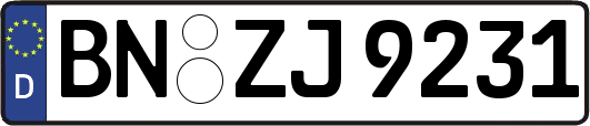 BN-ZJ9231