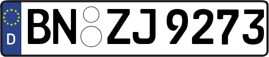 BN-ZJ9273