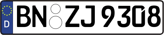 BN-ZJ9308