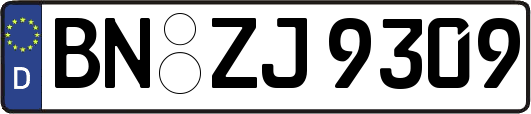 BN-ZJ9309