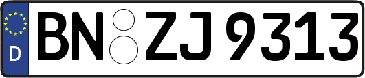 BN-ZJ9313