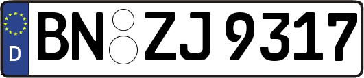 BN-ZJ9317
