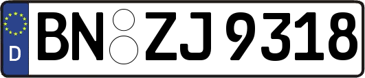 BN-ZJ9318