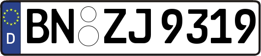 BN-ZJ9319