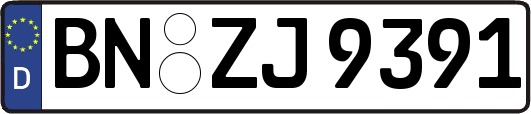 BN-ZJ9391