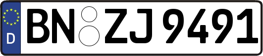 BN-ZJ9491