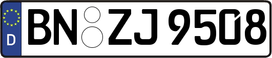 BN-ZJ9508