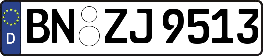 BN-ZJ9513