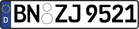 BN-ZJ9521