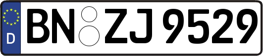 BN-ZJ9529